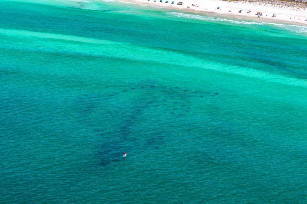 Little House On The Beach Destin Exterior photo